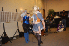 ValleyCon 37 - 2011